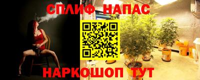 мяу мяу мука Бузулук