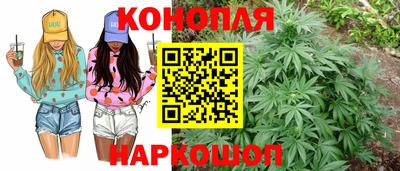 jwh Будённовск