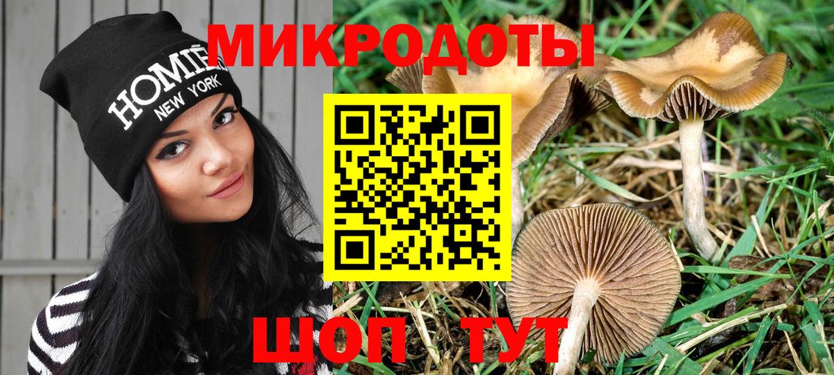 Галлюциногенные грибы мицелий Пугачёв