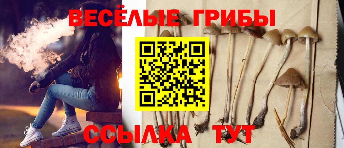 Пугачёв  Галлюциногенные грибы MAGIC MUSHROOMS  Вход с VPN  Псилоцибиновые грибы ЛСД 
